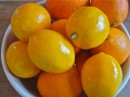 Orange & Lemon Marmalade